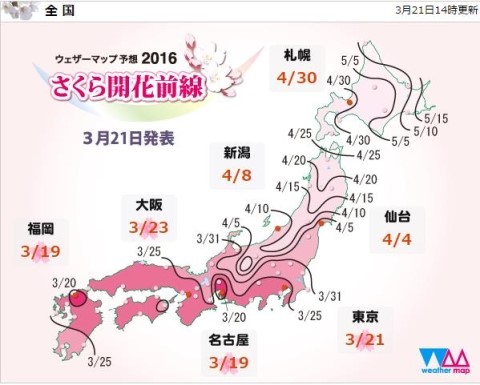 하나미 이미지