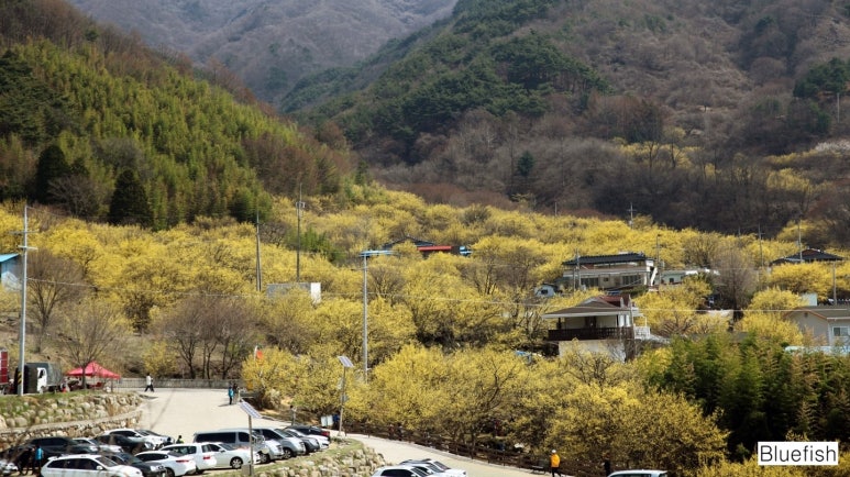 중앙적성출판사 이미지