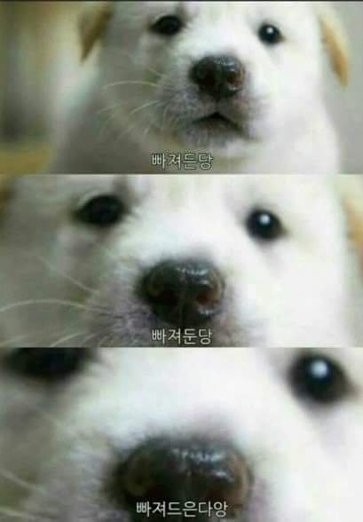 소리헤어 이미지