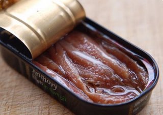 안쵸비(Anchovy) 이미지