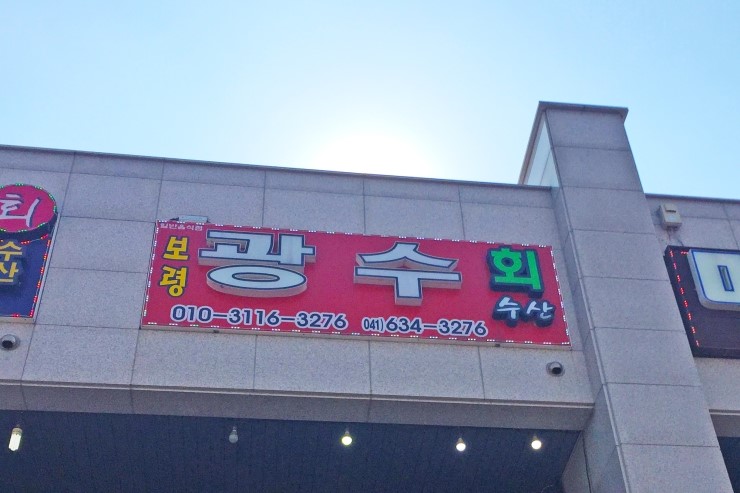 광수 새조개 이미지