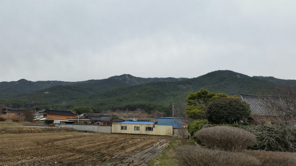 남산꽃화원 이미지