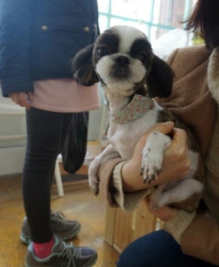나몽살롱 이미지