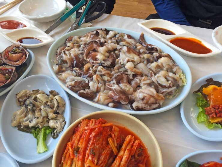 광수 새조개 이미지