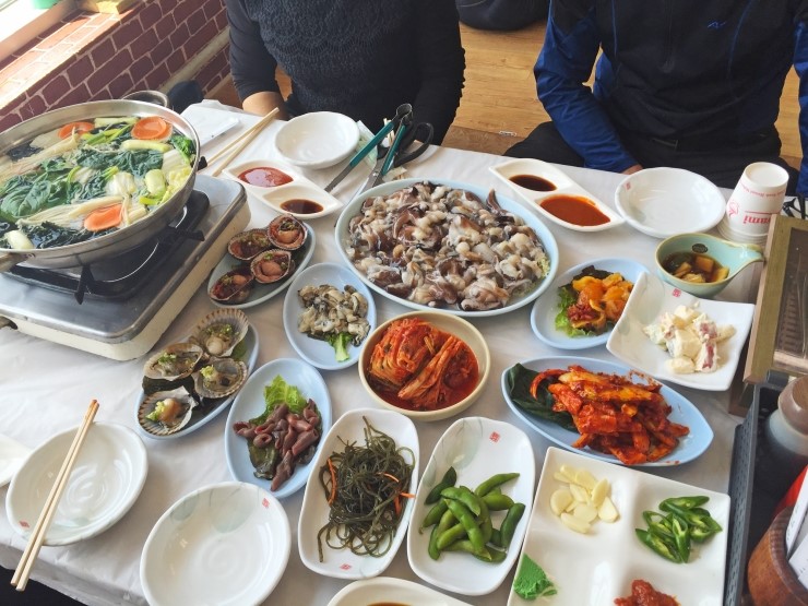 광수 새조개 이미지