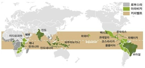 커피벨트 이미지