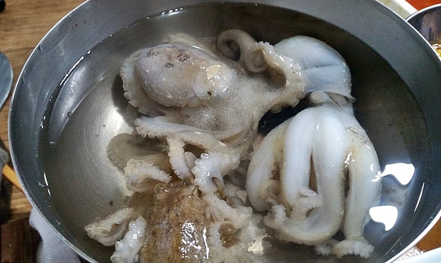 쭈꾸미랑바다친구들 이미지