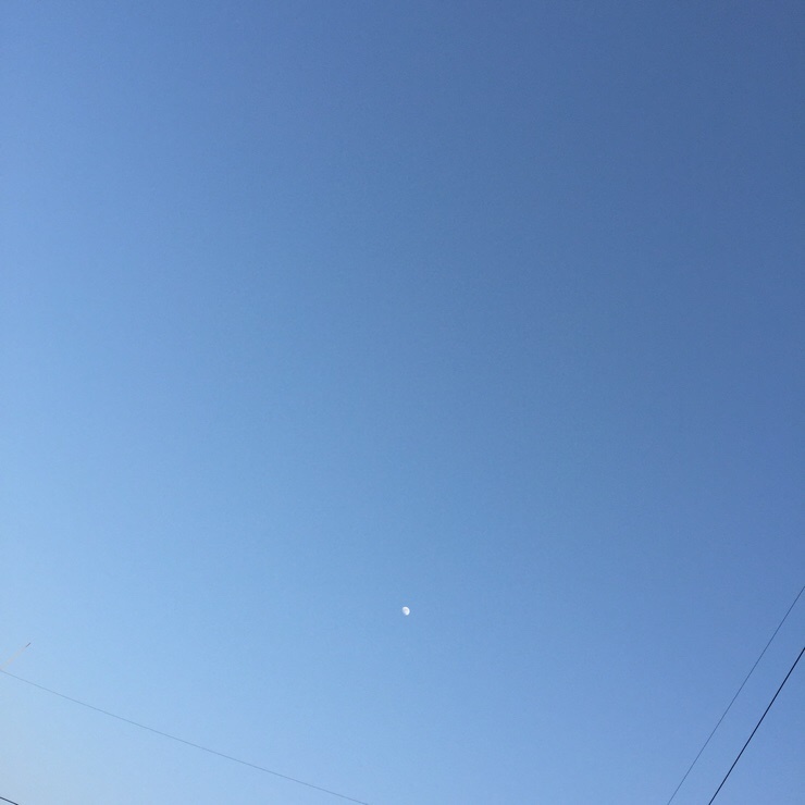 프라임마트 이미지