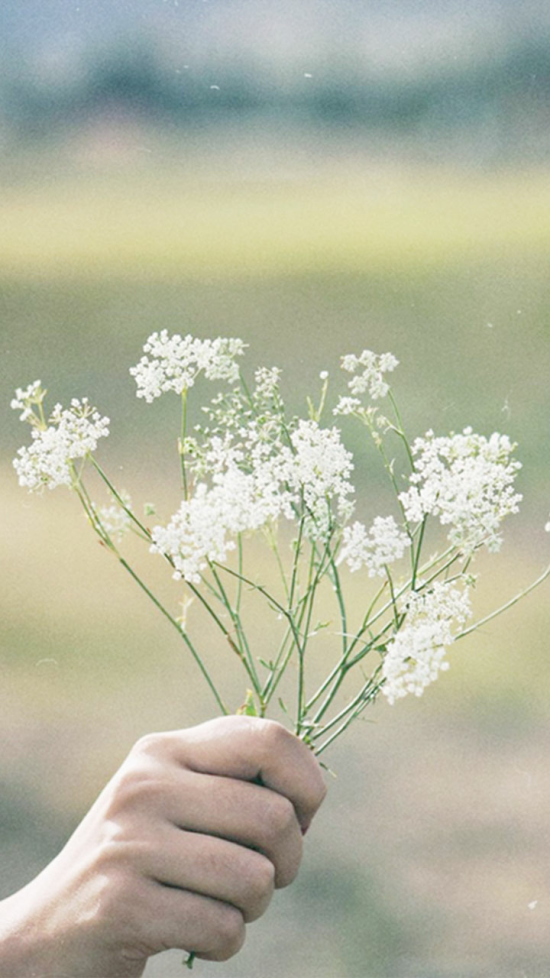 산으로간참치 이미지