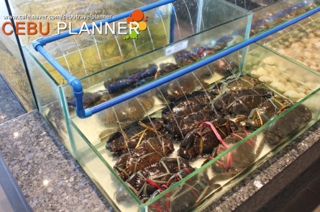 씨티씨푸드 이미지