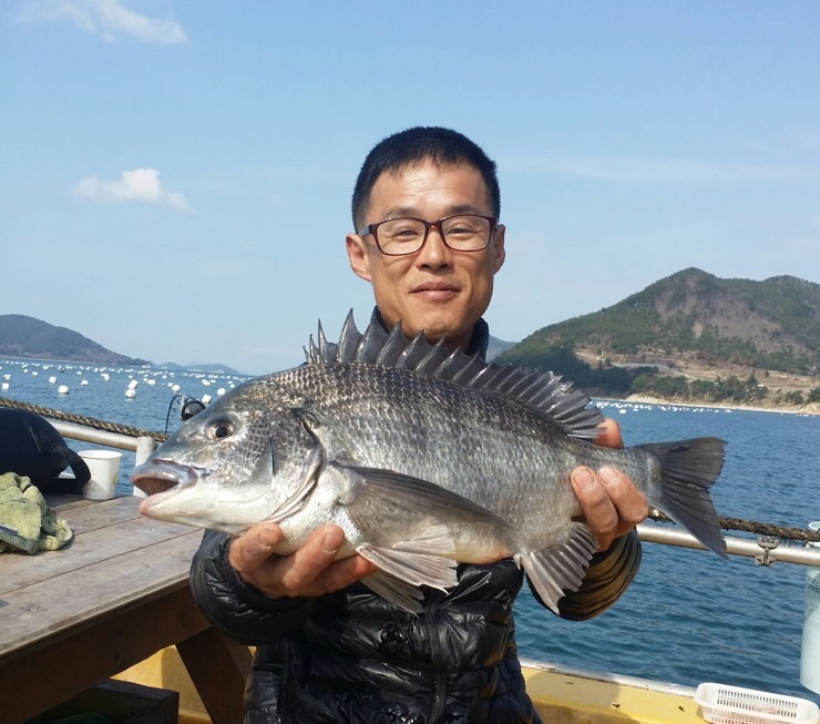 배*진 이미지
