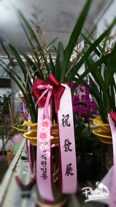 수산나인테리어 이미지