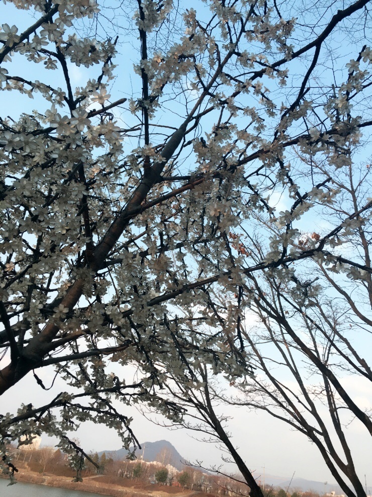 우미다방 이미지