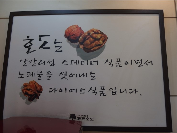 코코호도 이미지