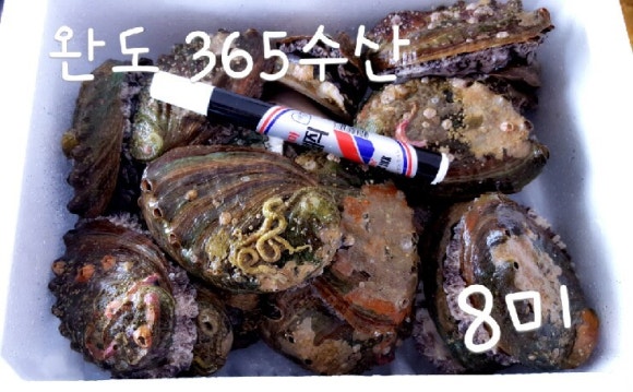 완도수산365 이미지