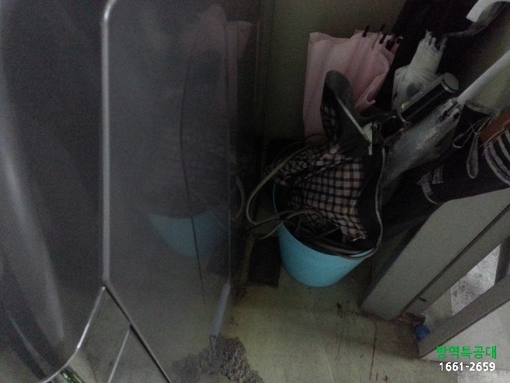 리챠드헤어 이미지