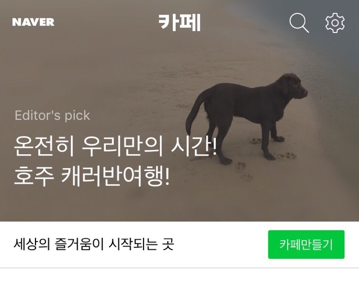 카페메인 이미지