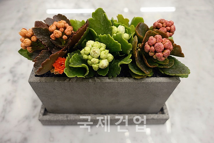 정화건업 이미지
