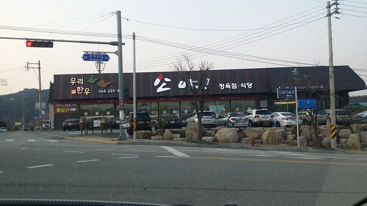 모악산한우정육점 이미지