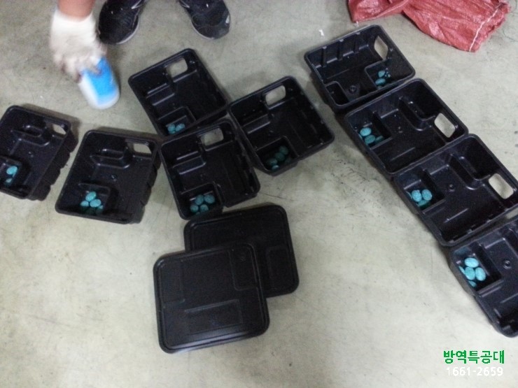 리챠드프로헤어 이미지