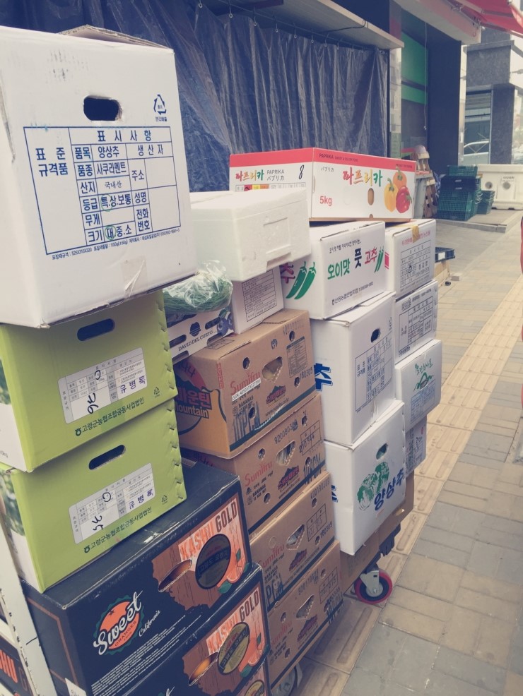 싱싱야채청과 이미지