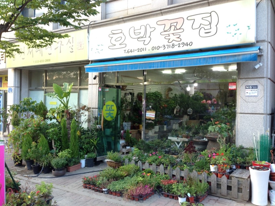 호박꽃집 이미지