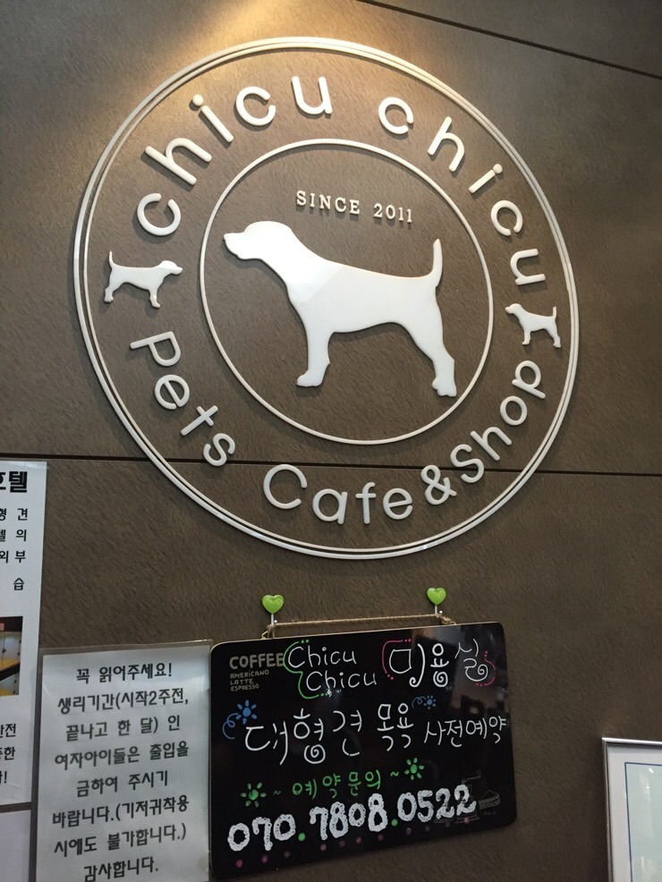 치쿠치쿠 이미지
