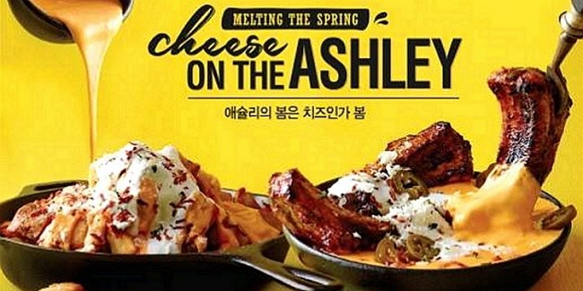 온더치즈 이미지
