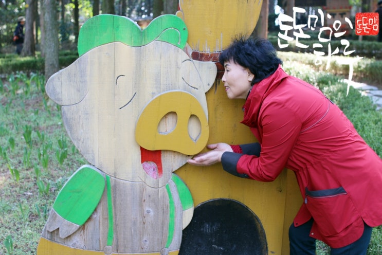 오라돈돈 이미지