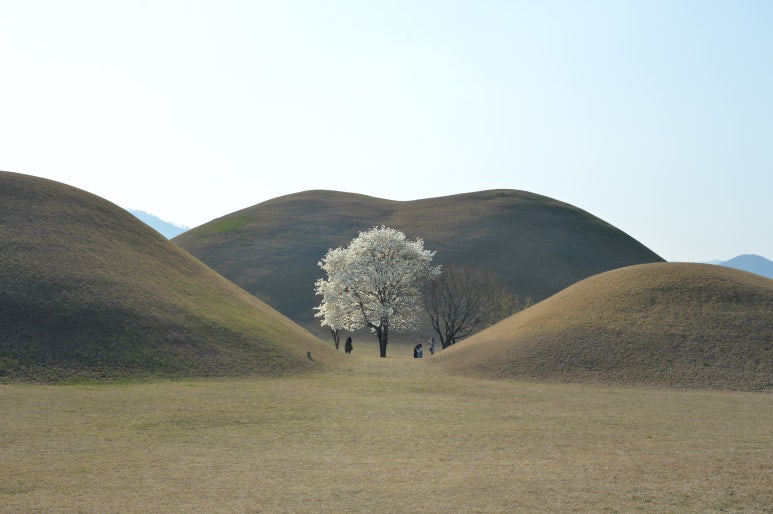 경주산책 이미지