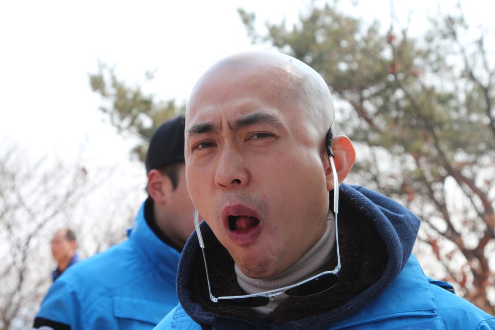 팀레오 이미지