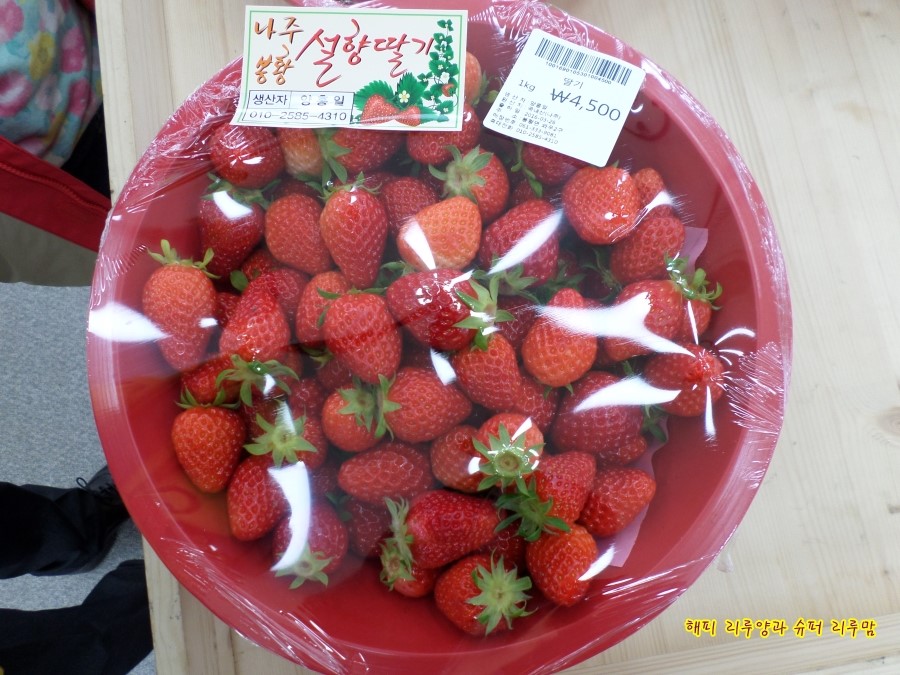 참밀베이커리 이미지