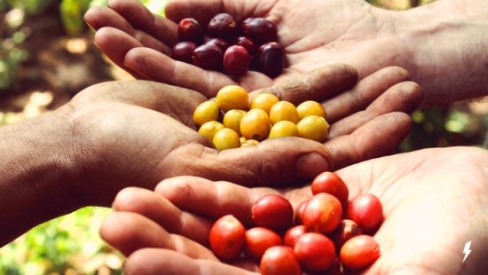 산토스커피(SANTOS COFFEE) 이미지