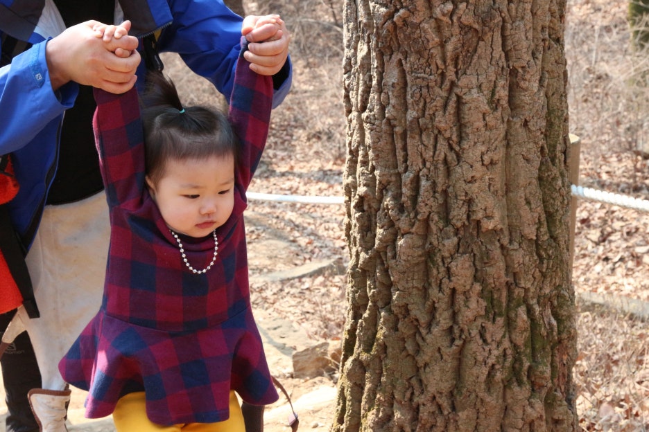 팀레오 이미지