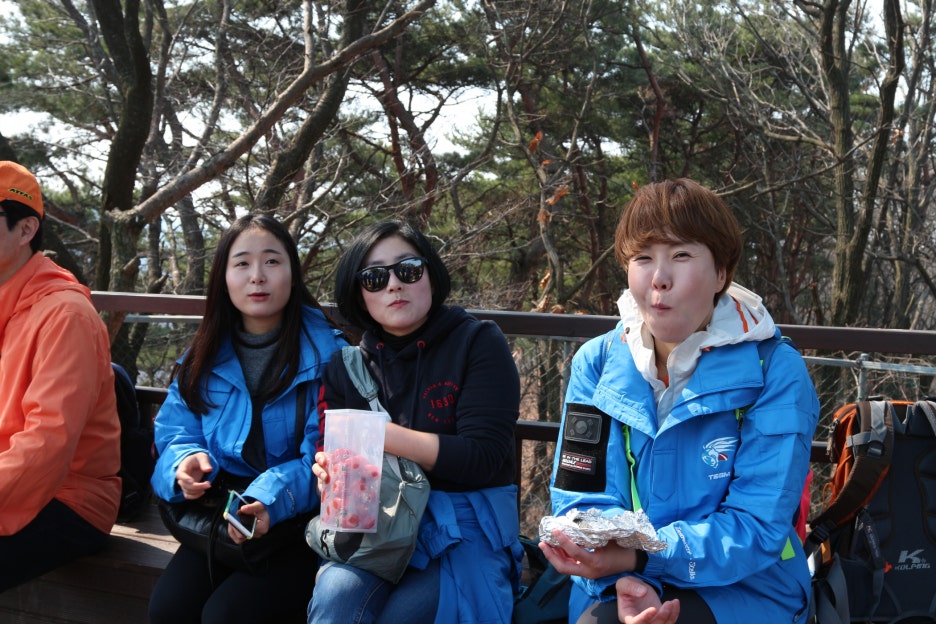 팀레오 이미지