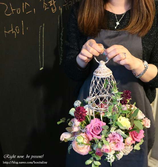마끄드플레르 이미지