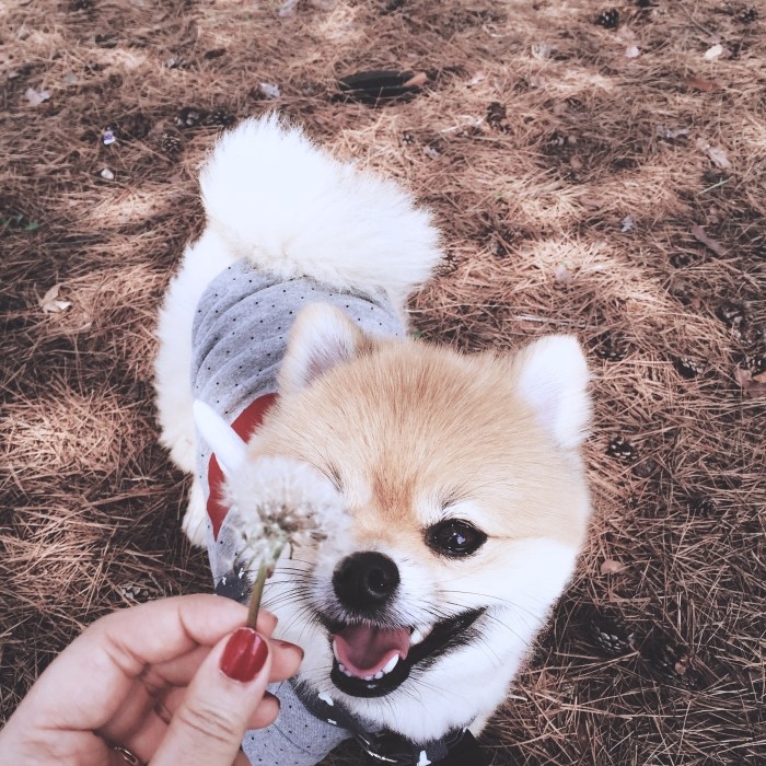 도트그레이 이미지