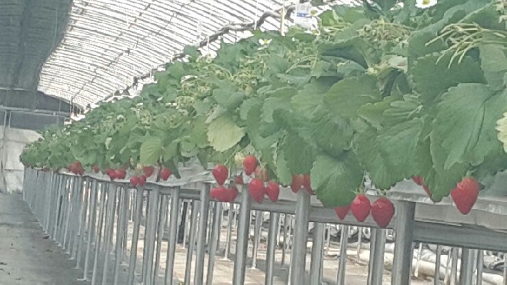 하나자야컨설팅 이미지