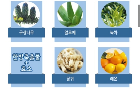 지엘쇼핑 이미지