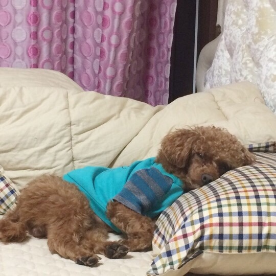 미향언니의상실 이미지