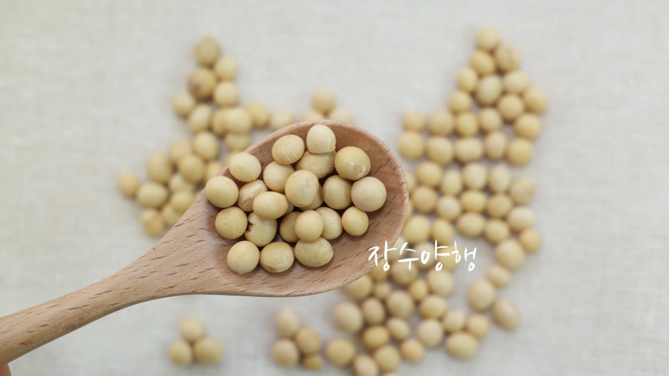 장수양행 이미지