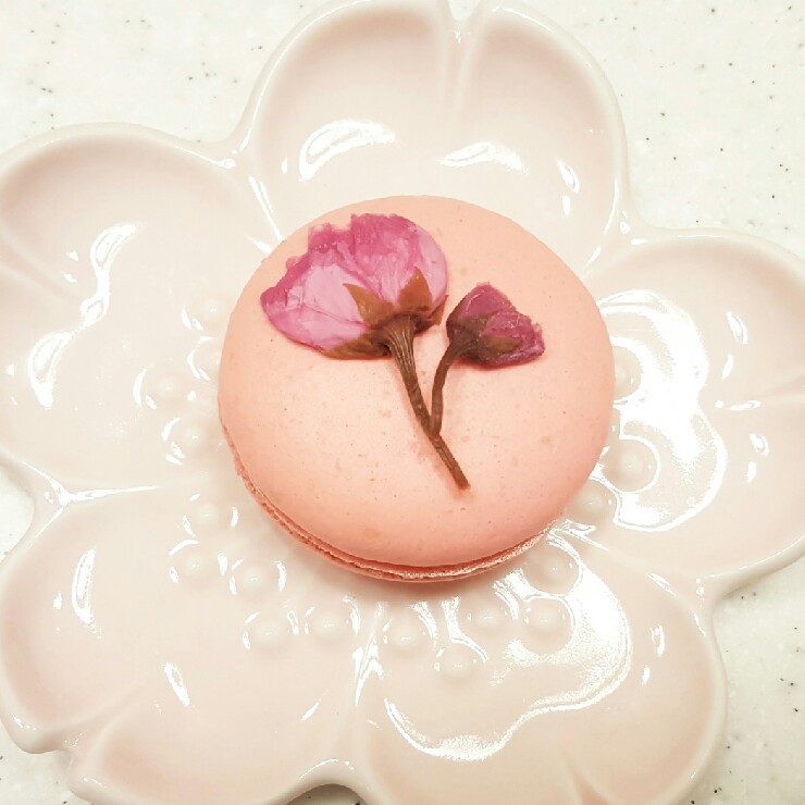 달콤베이킹스튜디오 이미지