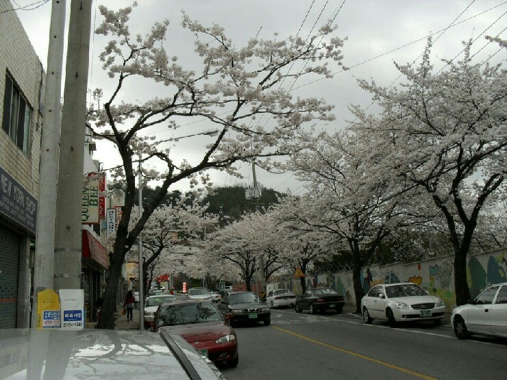 사바아사나 이미지