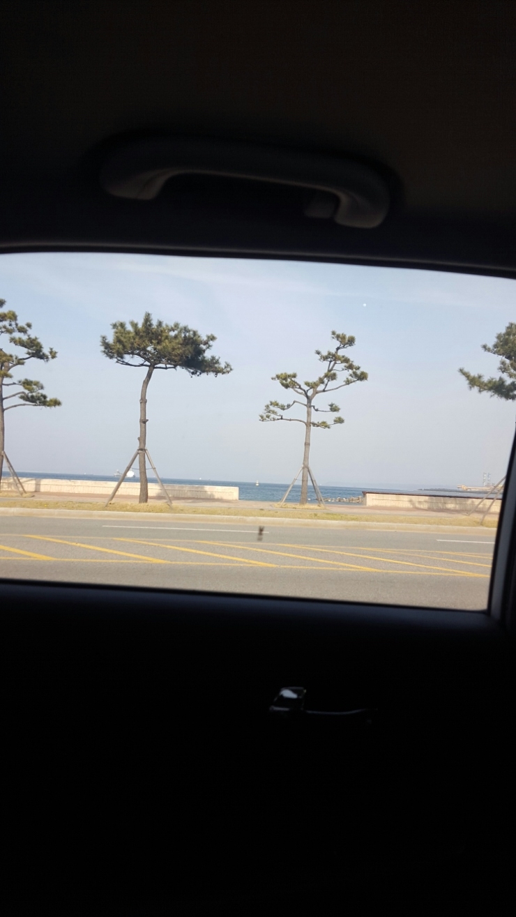 아라비카커피숍 이미지