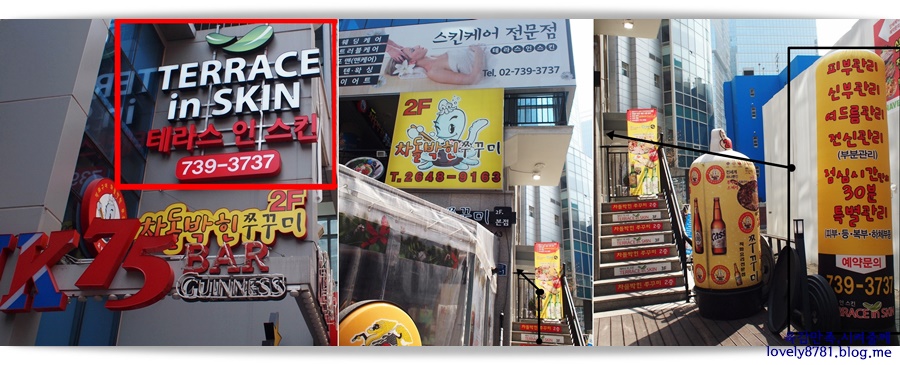 테라스 인 스킨 이미지