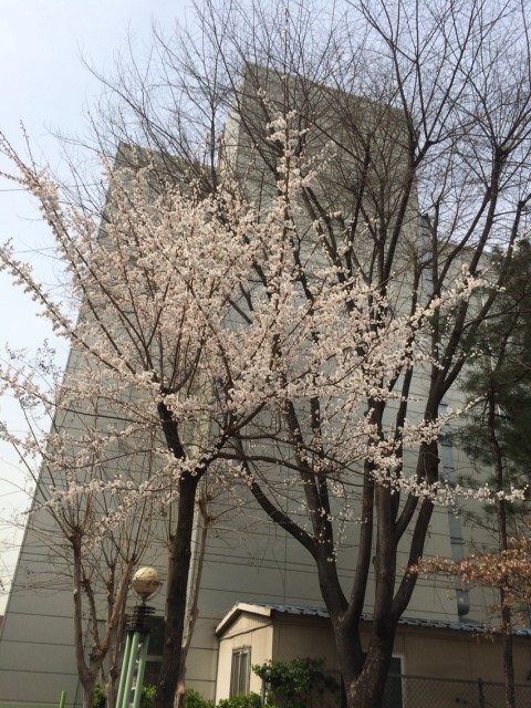 빛나는오늘 이미지