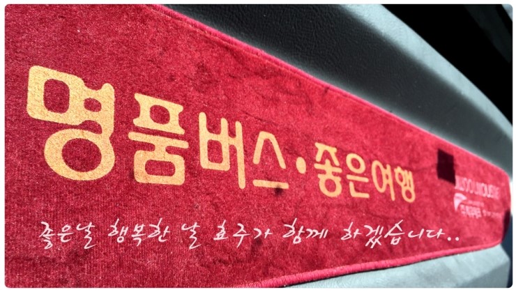 효주여행사 이미지