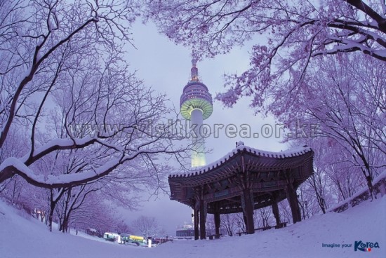 싸인스토리 이미지