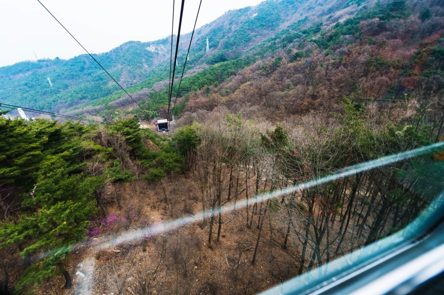 앞산공원 이미지