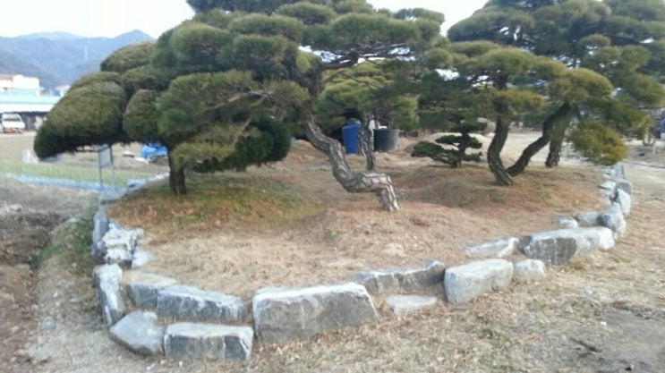 삼일공사 이미지